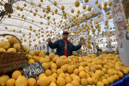 Un tendero tunecino vende frutas en un mercado central en Túnez (Egipto), durante el segundo día del mes sagrado musulmán de Ramadán, el 7 de mayo de 2019.