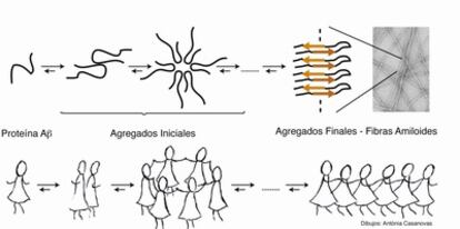 Representación esquemática del proceso de agregación de la proteína beta-amiloideasociada a la enfermedad de  alzhéimer.