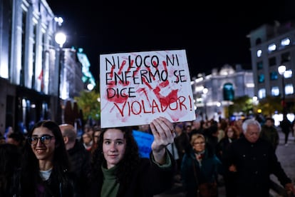 Manifestación del 25-N de 2024, Día Internacional contra la Violencia contra las Mujeres, en Madrid. 