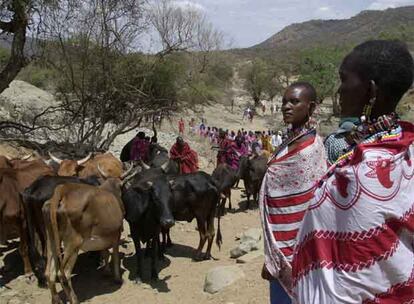 Una familia masai conduce su ganado cerca de Kajiado (Kenia).