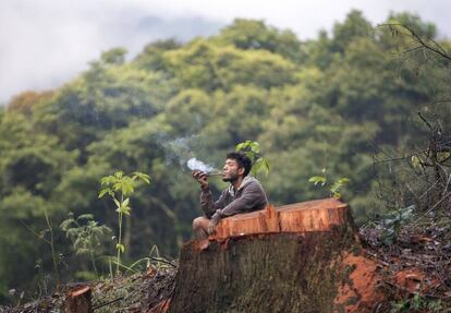 Un indígena guaraní fuma una pipa junto a un árbol talado por desarrolladores en Sao Paulo.
