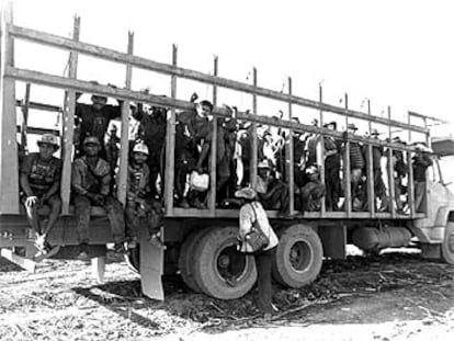 Un camión destinado al ganado transporta a trabajadores hacia una hacienda del noreste de Brasil.