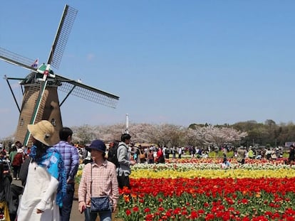 Japón corta más de 100.000 tulipanes de un parque para evitar aglomeraciones