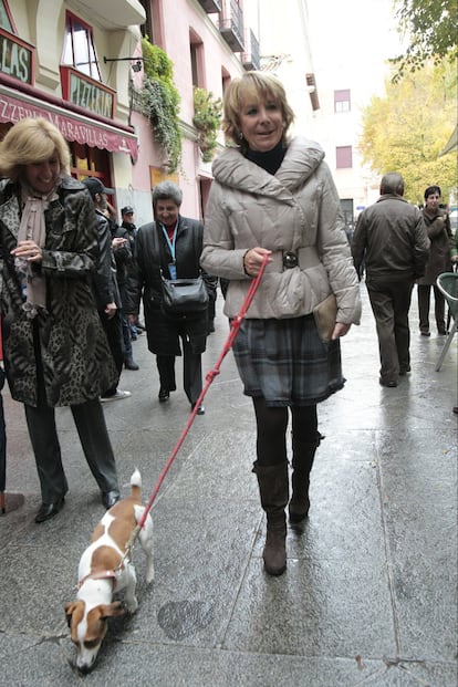 

Esperanza Aguirre, presidenta de la Comunidad de Madrid, acompañada de su perro "Pecas", un Jack Russell, se dirige a votar en el colegio público Pi i Margall en las elecciones legislativas del 20-N.


