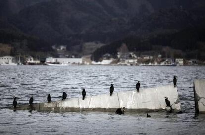 Muro de contención destruido en Ofunato, prefectura de Iwate el 10 de marzo de 2012.