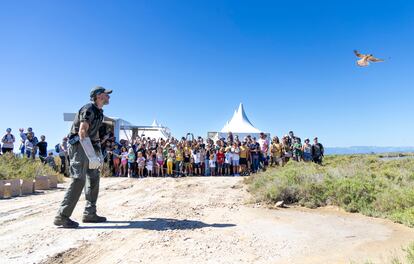 La tradicional suelta de aves en el Delta Birding Festival.