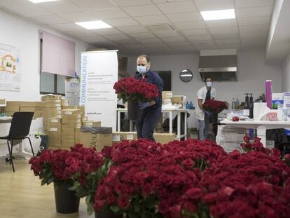 Una remesa de roses a l'hospital Clínic de Barcelona, aquest dijous.