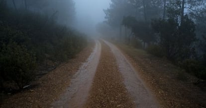 Camino real de la Plata por Sierra Morena, hacia el puerto de Horcajo. Más de un invierno anduvo Cervantes por estos caminos.