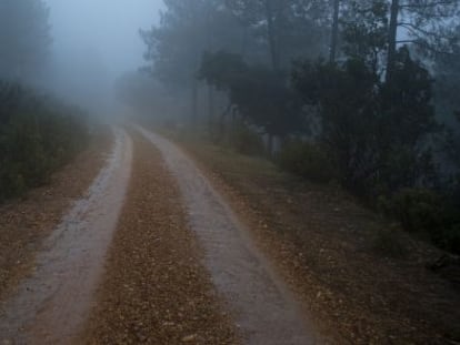 Camino real de la Plata por Sierra Morena, hacia el puerto de Horcajo. M&aacute;s de un invierno anduvo Cervantes por estos caminos. 