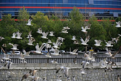 Un nutrido grupo de reidoras y sombrías pasan ante un hotel en la ribera del Manzanares.