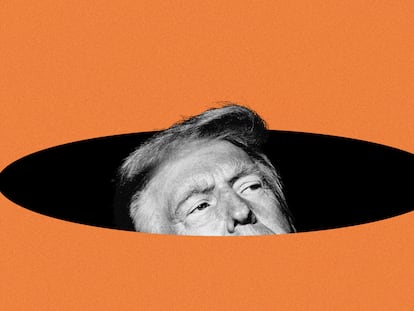 El cisne naranja