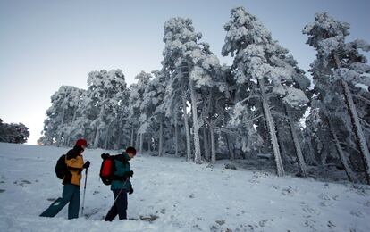 Excursionistas recorren el camino Schmidt, que une Cercedilla con Navacerrada.