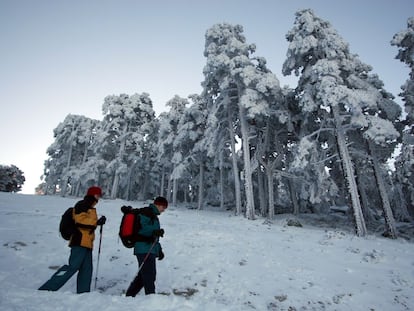 Excursionistas recorren el camino Schmidt, que une Cercedilla con Navacerrada.