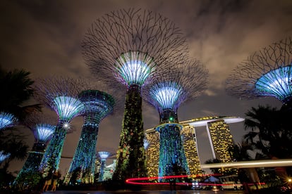 Gardens by the Bay, una de las áreas más sorprendentes y futuristas de Singapur, una de las ciudades más caras del mundo. 