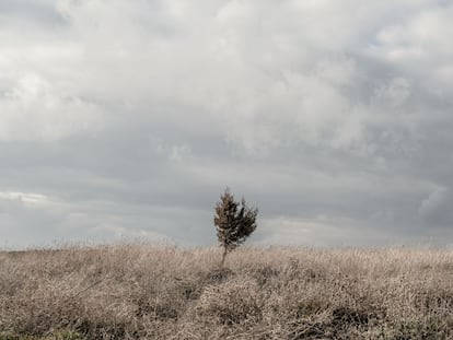 Un paraje solitario en Iruecha, cerca de Molina de Aragón, la zona menos poblada del centro-oriental de España.