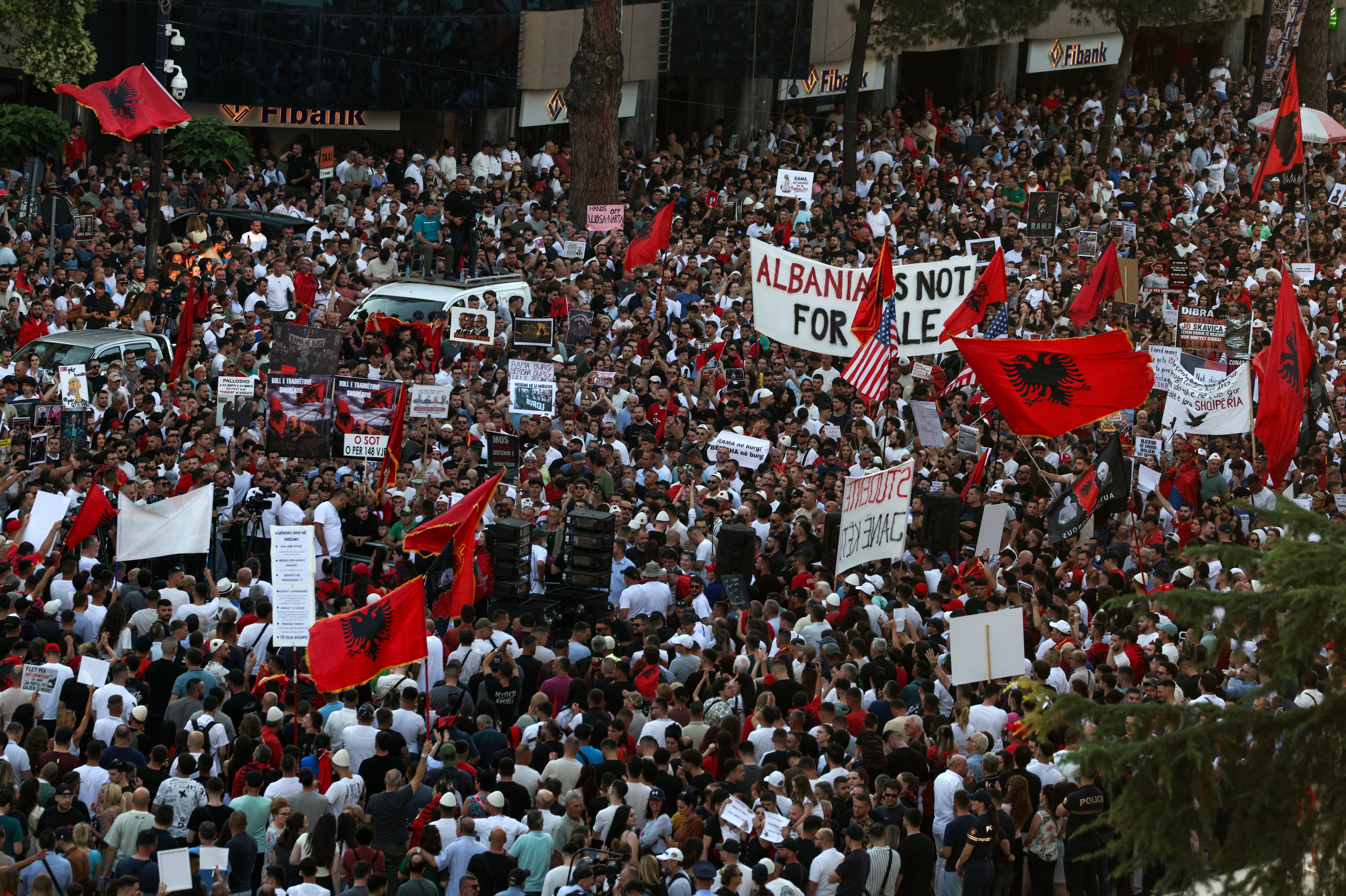 La revolución de los flamencos se levanta contra los megapro
