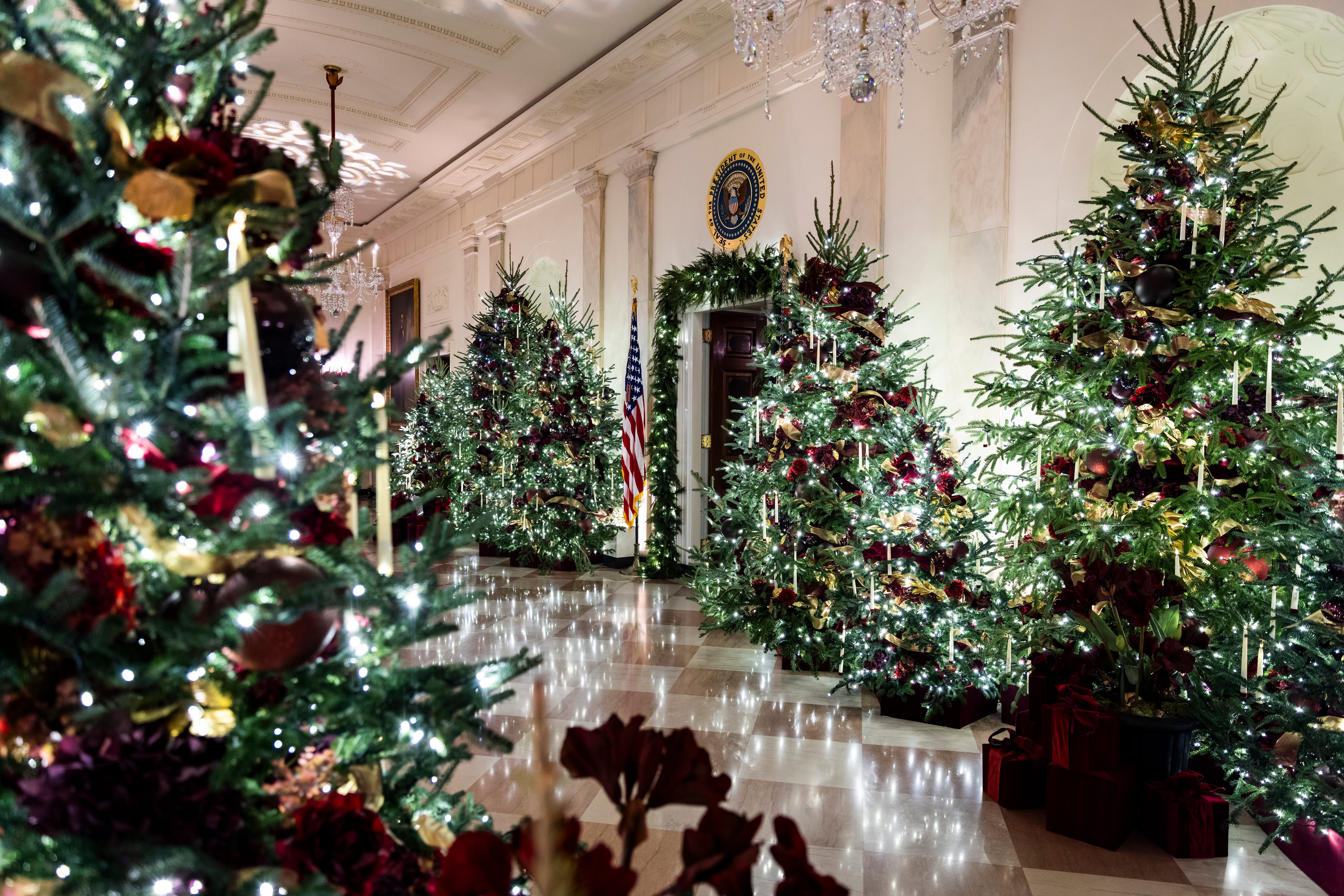 Así se ha decorado la primera Navidad de los Trump en su regreso a la Casa Blanca: retratos de Lego, una casita de jengibre y miles de mariposas