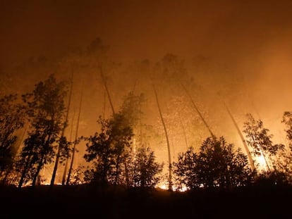 Un bosque cercano a Vigo en llamas, el pasado domingo. 