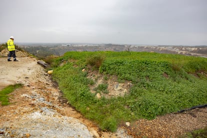 Ensayos de tecnosuelos por parte de Minera Los Frailes en Aznalcóllar.