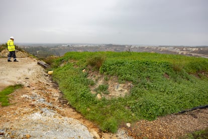 Ensayos de tecnosuelos por parte de Minera Los Frailes en Aznalcóllar. 