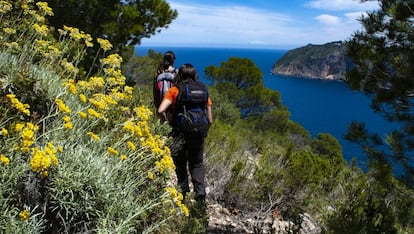 Excursión al Puig Roig, en Mallorca.