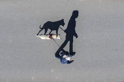 Una mujer pasea con su perro por una calle de Strubing (Alemania).