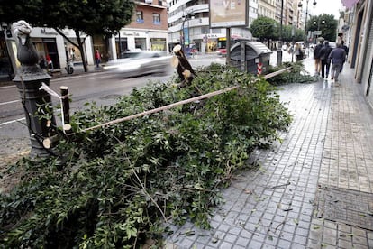 La caída de un árbol y una farola, como consecuencia de las lluvias y el viento, ha obligado a cortar varios carriles de la calle Colón de Valencia el 19 de diciembre de 2016.