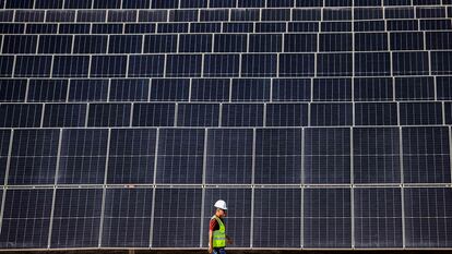 Un hombre camina, a finales de 2023, frente a decenas de paneles en un proyecto fotovoltaico en Abu Dabi.