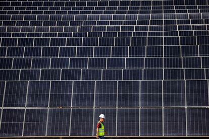 Un hombre camina, a finales de 2023, frente a decenas de paneles en un proyecto fotovoltaico en Abu Dabi.