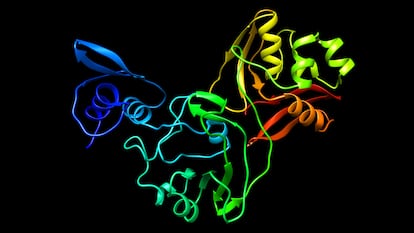 Estructura de una de las proteínas del coronavirus.