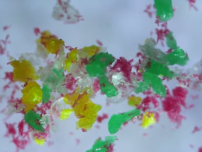 Muestra de microplásticos bajo la vista del microscopio.