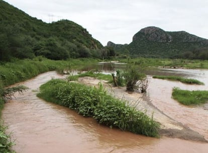 Las aguas del río Sonora, tras el derrame.