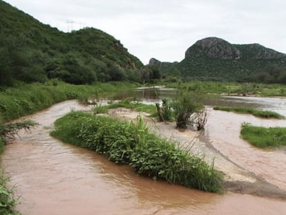 Las aguas del río Sonora, tras el derrame.