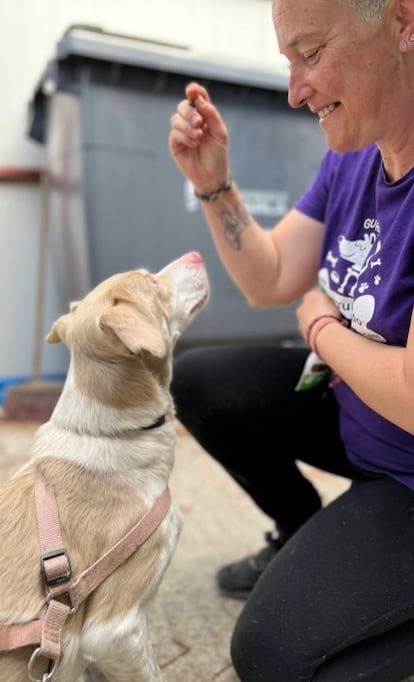 La educadora canina Mónica Kern trabaja con un perro en el proyecto Perruneando.