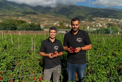 Productores de la isla de La Palma.