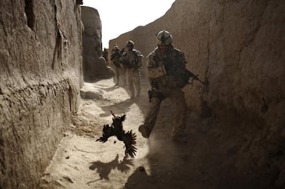 11 de septiembre de 2010. Un soldado canadiense de The Royal Canadian Regiment, persigue a un pollo segundos antes de que él y su unidad fuesen atacadas con granadas disparadas por encima del muro durante un patrullaje en Salavat, al suroeste de Kandahar, Afganistán.