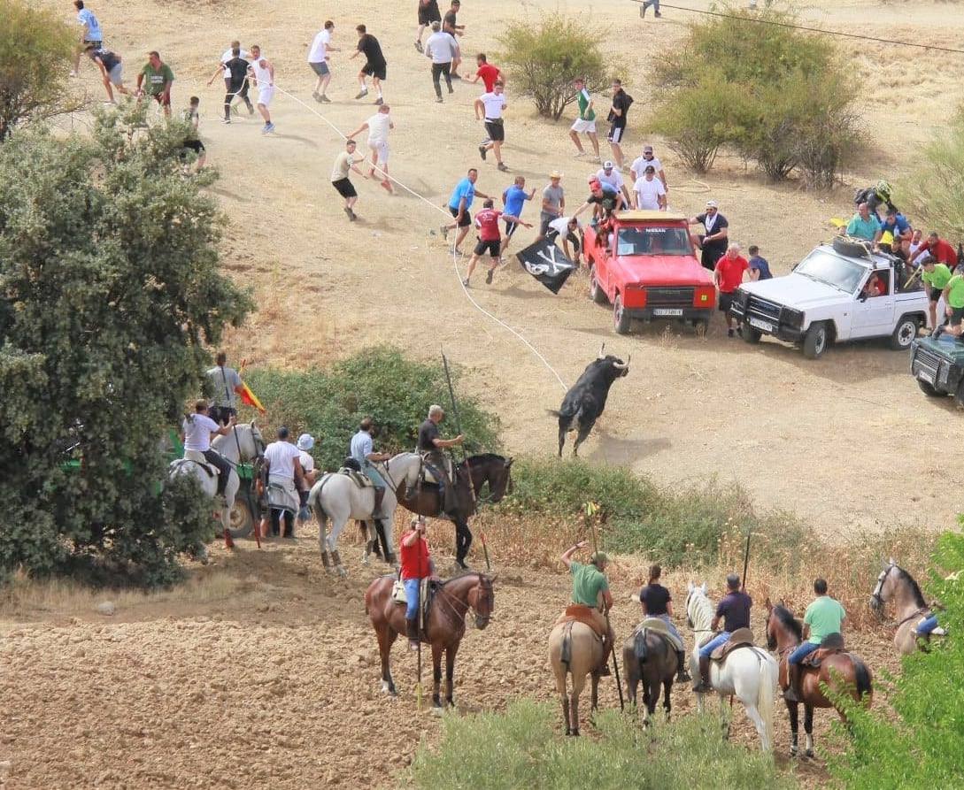 Muere el joven corneado este sábado en un encierro por el campo de El Casar en Guadalajara 