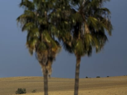 Una de las torres de Abengoa en la planta solar de Sanlucar la Mayor (Sevilla).