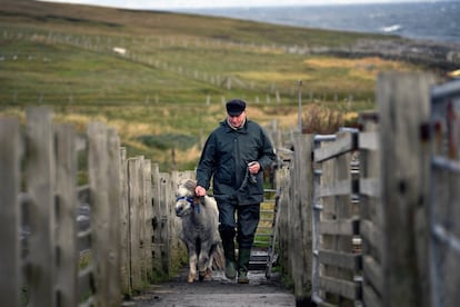 Jim y Sheila atienden a los potros en la isla de Shetland, en Foula (Escocia).