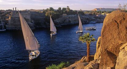 Un grupo de fal&uacute;as navega por el Nilo
