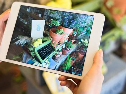 Una florista toma fotos a sus plantas para promocionarlas en redes sociales.