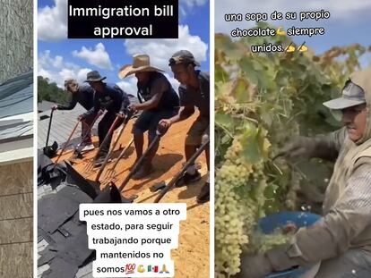 Fotograma de tiktoks que hacen referencia a la ley de migración aprobada por Ron DeSantis