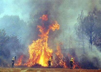 Varios bomberos trabajan en la extinción del fuego.