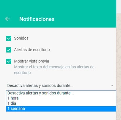 Aquí podemos silenciar WhatsApp Web