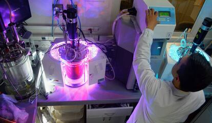 Un investigador del Grupo de Biotecnología de la Universidad de Antioquia aplica iluminación LED a un biorreactor con cacao. 
 