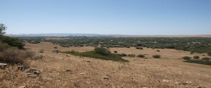 Vista de la depresión de la desecada laguna de La Janda desde el cerro de la Alcachofa.