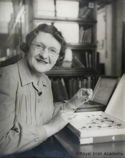 Cynthia Longfield Roberts, conocida como  'Madame Libélula', con una colección de insectos en octubre de 1947.