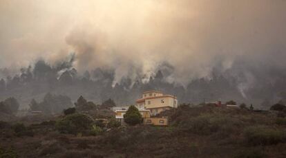 El humo se eleva en el incendio forestal en las afueras de la ciudad de El Paso, en la isla canaria de La Palma.