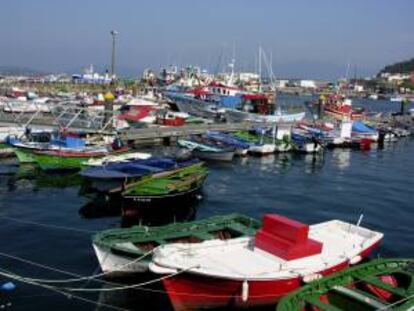 Panorámica del puerto de Muros, cuyas embarcaciones se dedican principalmente a la pesca de arrastre. EFE/Archivo