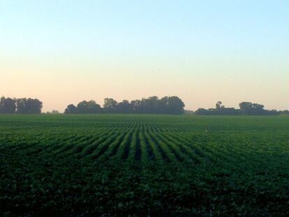 Debate europeo sobre los biocombustibles y el hambre